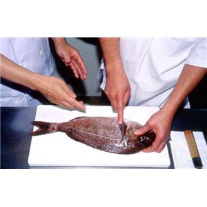DVD プロ直伝!魚のさばき方 DVD プロ直伝!魚のさばき方