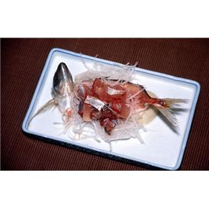 DVD プロ直伝!魚のさばき方 DVD プロ直伝!魚のさばき方