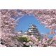 ビバリー  桜風の姫路城 72-039画像