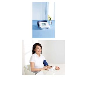 テルモ ES-P310 電子血圧計