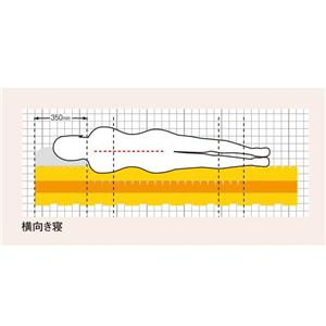 ӥ 2441-11050 դȤ WS˲2