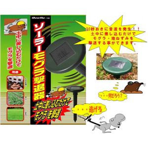 顼⥰4