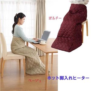 HOT脚入れヒーター ボルドー NA-21SHZ