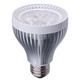 レフ形LEDランプ　E26　LB702603N昼白色