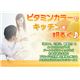「パーソンズ」フードプロセッサー PK-103