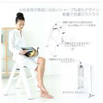 メタフィス デザイン ステップツール「lucano」ルカーノ ML-2WH ホワイト 