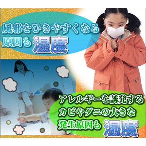 温湿度計 TT-529  - 拡大画像