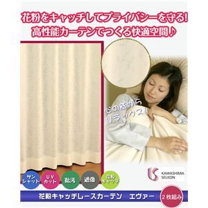 花粉キャッチレースカーテン エヴァー（DC1080）2枚組100×176  - 拡大画像