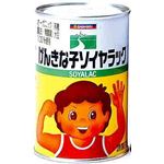 50＆20＆40 三育フーズ（サンイク） げんきな子ソイヤラック・濃厚調製豆乳・濃厚調製豆乳無加糖×各6個セット