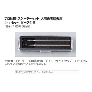 プロ仕様・スケーラーセット ケース付