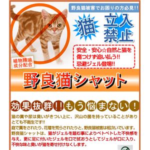 【忌避ジェル】野良猫シャット