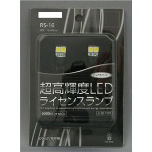 RS-16 超高輝度LED ライセンスランプ