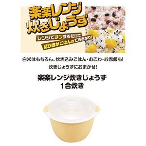 RE189 楽楽レンジ炊きじょうず1合炊き