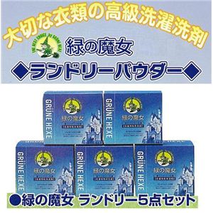 ランドリーパウダー詰合わせセット（1kg×5箱）