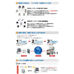 RiDATA IPネットワークカメラ RCC-9800 シルバー