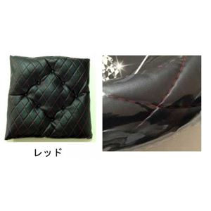 DIAステッチ綿入りシングルクッション 2枚セット レッド