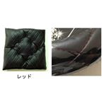 DIAステッチ綿入りシングルクッション 2枚セット レッド