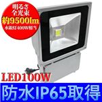 LED-100W投光器 DN-017