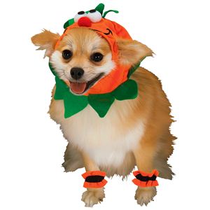 RUBIE'S（ルービーズ） PET（ペット用コスプレ） ペットコスプレ Headpiece ＆ 4 Paw Cuffs Pumpkin（ヘッドピース ＆ 4 パーティー カフス パンプキン） Sサイズ