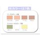 エバメール リキッドファンデーション 15ml ブラウン【2個セット】 - 縮小画像2