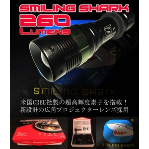 充電式LEDライト CREE(クリー)Q5 LED搭載 ・懐中電灯