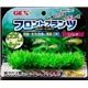 GEX（ジェックス）　フロントプランツ　リシア　（水槽用アクセサリ）