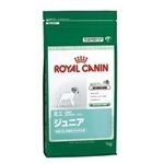 ROYAL CANINiCJij SHN~jWjA 1Kg ihbOt[hj yybgpiz