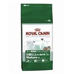 ROYAL CANINiCJij SHN~j}`A 2Kg ihbOt[hj yybgpiz