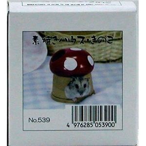 三晃商会 素焼きハウス きのこ （小動物用ハウス） 【ペット用品】