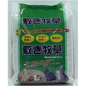 三晃商会 敷き牧草（バミューダグラス） （うさぎ用敷材） 【ペット用品】