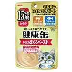 (まとめ)アイシア 15歳からの健康缶パウチまぐろペースト40g 【猫用・フード】【ペット用品】【×48セット】