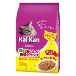 （まとめ）KDN21カルカンドライかつおと野菜1.6k 【猫用・フード】【ペット用品】【×6セット】