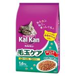 (まとめ)KDN23 カルカンドライ毛玉ケア1.6kg 【猫用・フード】【ペット用品】【×6セット】