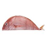 ペティオ ADD 焼魚姿亭 けりぐるみ タイ【ペット用品】