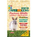 （まとめ）ハイペット 新パスチャーアルファルファ 400g （猫用・フード）【ペット用品】【×12 セット】