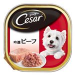 （まとめ）シーザー 吟選ビーフ 100g【×96セット】【ペット用品・犬用フード】