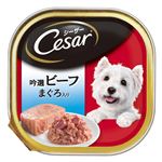 （まとめ）シーザー 吟選ビーフ まぐろ入り 100g【×96セット】【ペット用品・犬用フード】