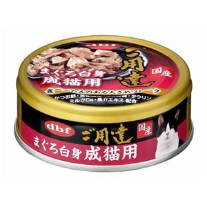 （まとめ）d.b.f ご用達 まぐろ白身 成猫用 80g【×24セット】【ペット用品・猫用フード】