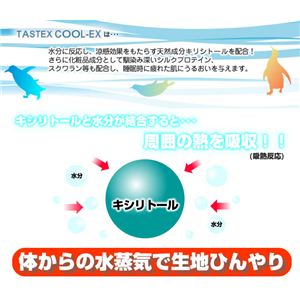 天然キシリトール成分配合　TASTEX COOL-EX　敷布団用ワンタッチシーツ　シングル　チャコールグレー