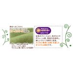 NuKME（ヌックミィ） 2011年Ver ルームブーツ Mサイズ アース アクアブルー