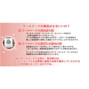 ���K�܂���E�[��100%���іѕz �_�u���i�x�[�W���j �y���{���z