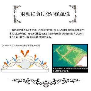 �􂦂�z�c�H�у^�b�`��w���@���D�|�ӂƂ�@�_�u�������O�i��190�~210cm�j