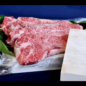 ǹ гơ 250g4 A54饹 Ȣ гľ۲2