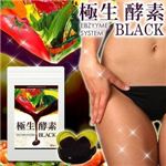 極生-酵素 エンザイムシステム BLACK