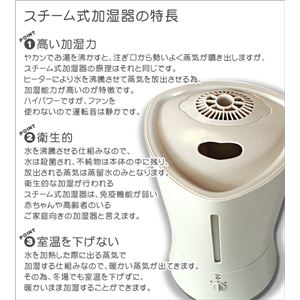 ü WSM2300 ۥ磻Ȳ2