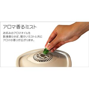 ü WSM2300 ۥ磻Ȳ3