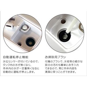 ϥ֥åɼü HBE1109-1 ԥ󥯲6