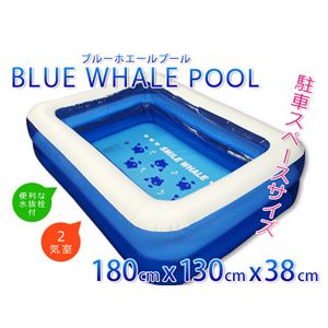 ブルーホエールプール