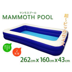 マンモスプール