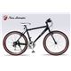 Lamborghini(ランボルギーニ) 自転車 クロスバイク 26・18SP TL-972 BLACK